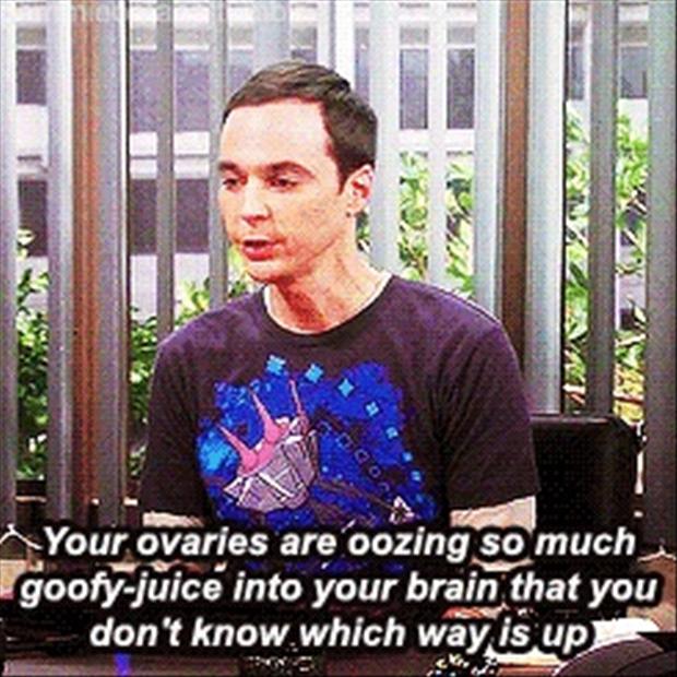 big bang theory, funny quotes from sheldon cooper - Dump A Day