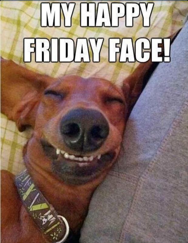 happy friday quotes funny