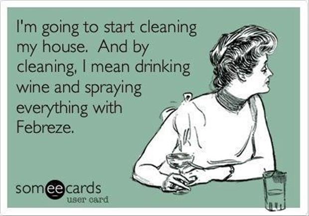 house cleaning quotes funny
