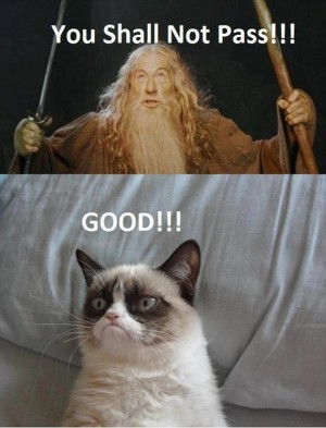 The Best Of, You Shall Not Pass - 30 Pics
