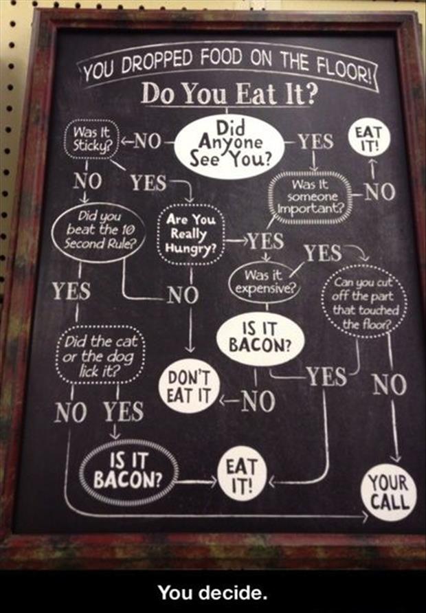 Dropping the food Guilt. Don't eat food off the Floor. Dropping the food GUILTNOT eating. 5 Seconds Rule questions.