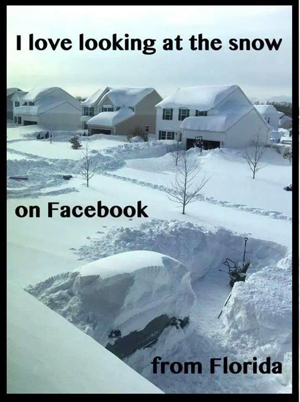 funny snow pictures on pinterest