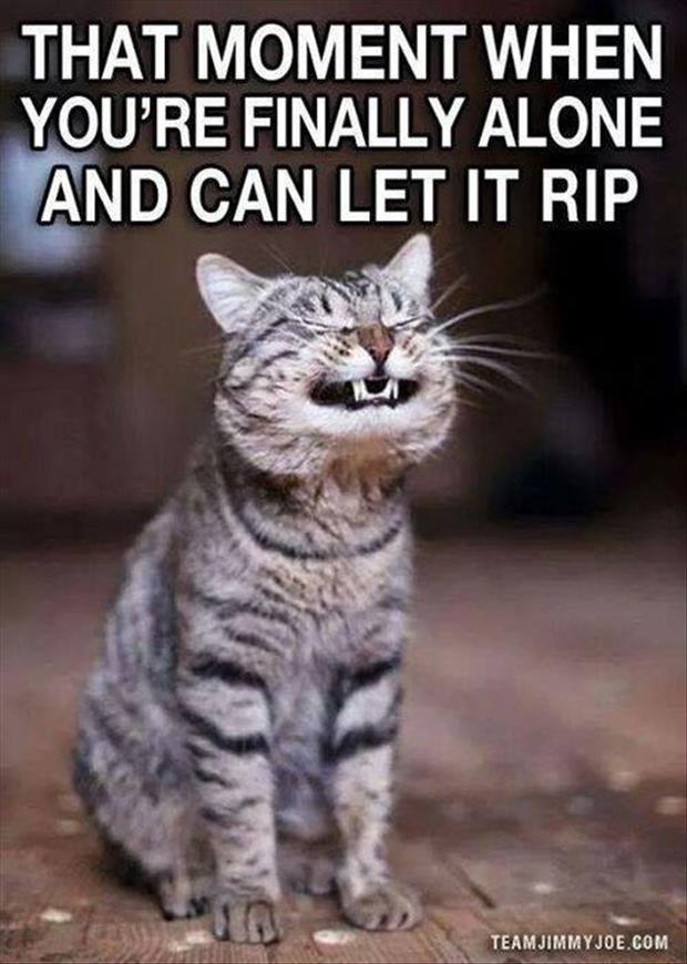 Funny Animals Of The Day - 24 Pics