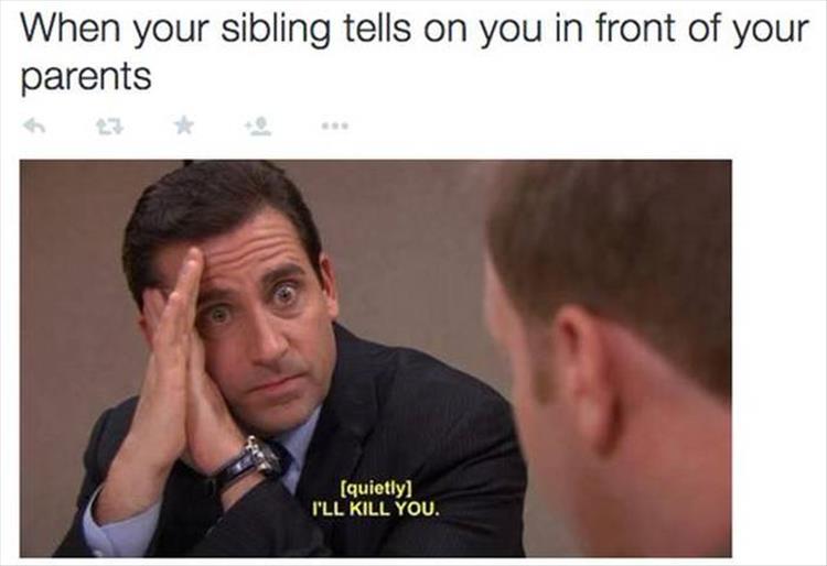 The Best Of Sibling Problems - 17 Pics