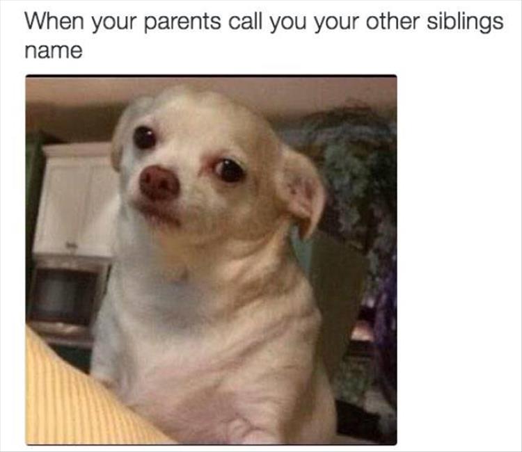What It's Really Like Growing Up With Siblings - 20 Pics