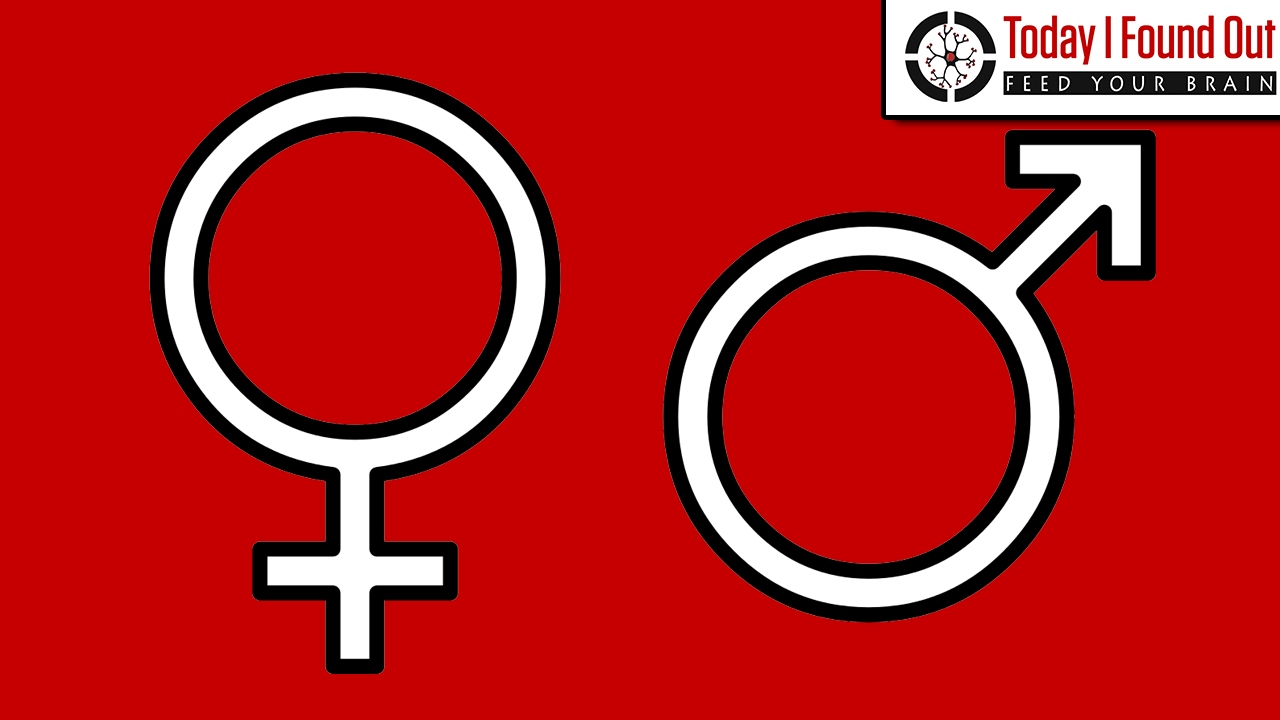 Erudition The Origin Of The Male And Female Symbols