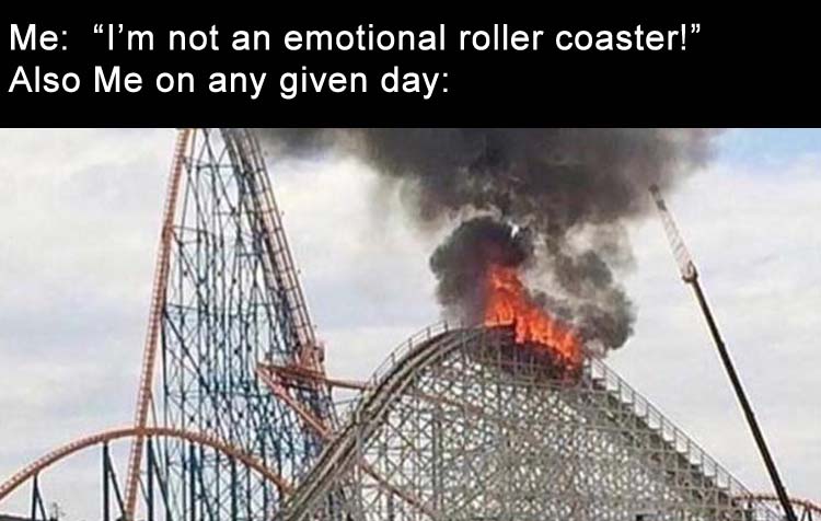 me telling someone my life is not an emotional roller coaster also