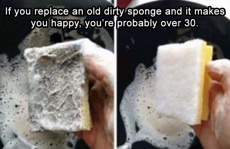 The Sponge 