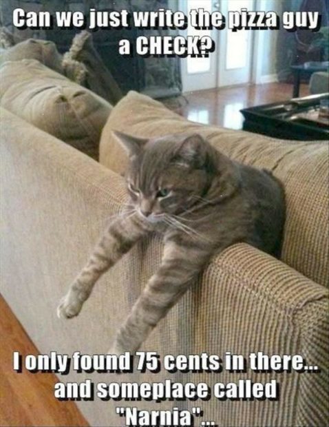 Funny Animal Pictures 22 Pics