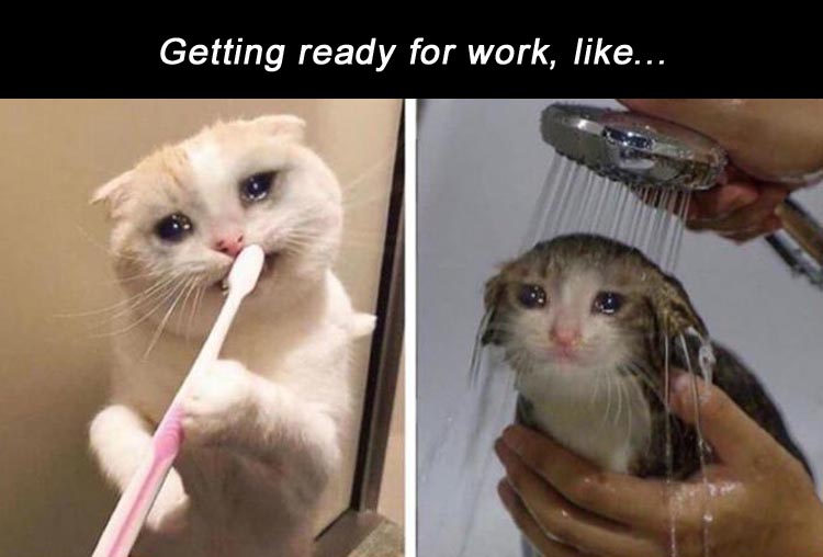 getting ready for work meme