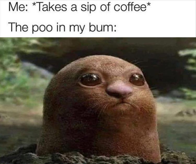 drinking coffee meme