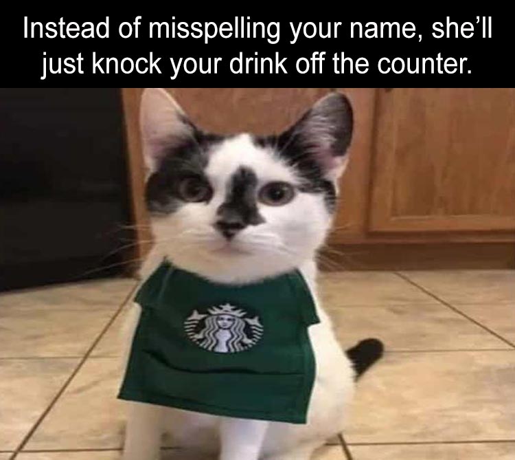 when you get starbucks - Dump A Day