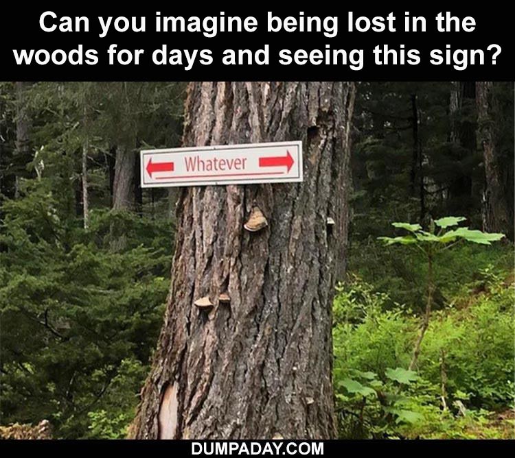 funny pictures of being lost