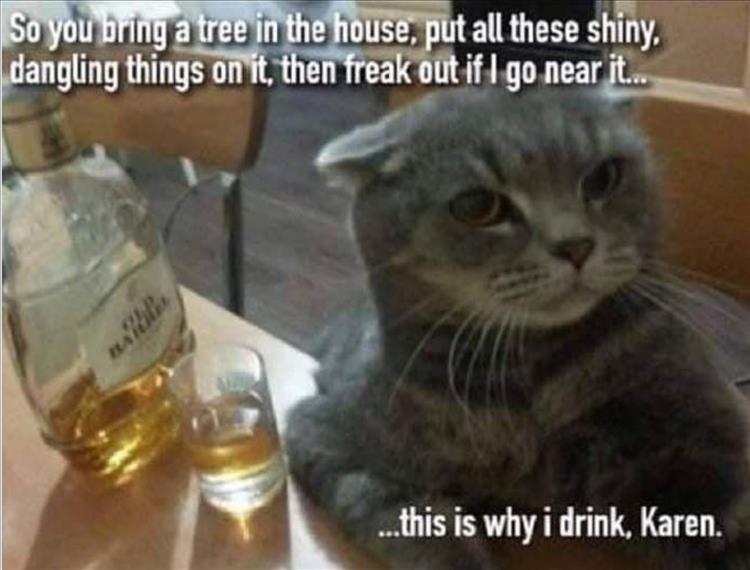when-your-cat-drinks.jpg