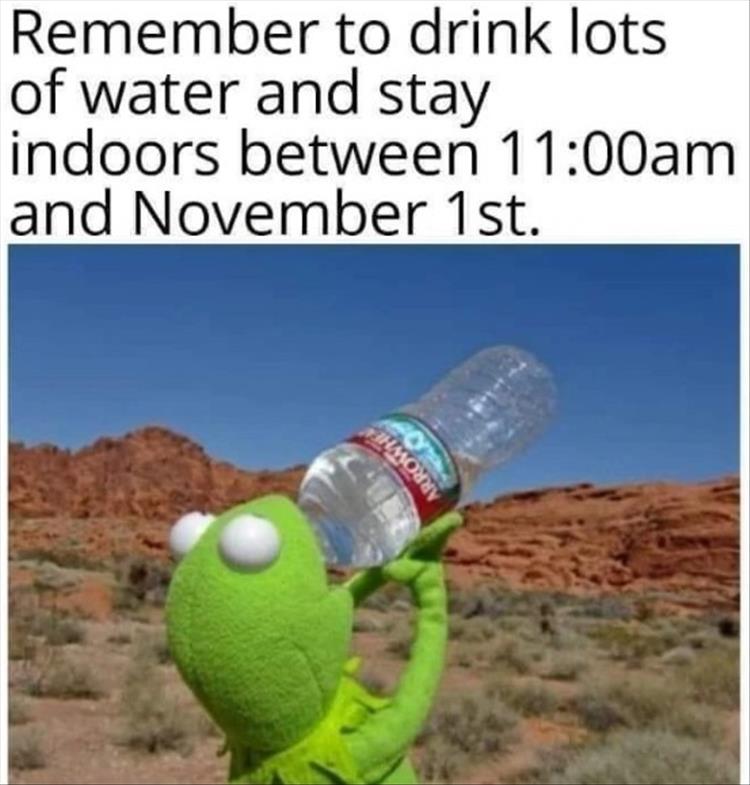 drink water meme